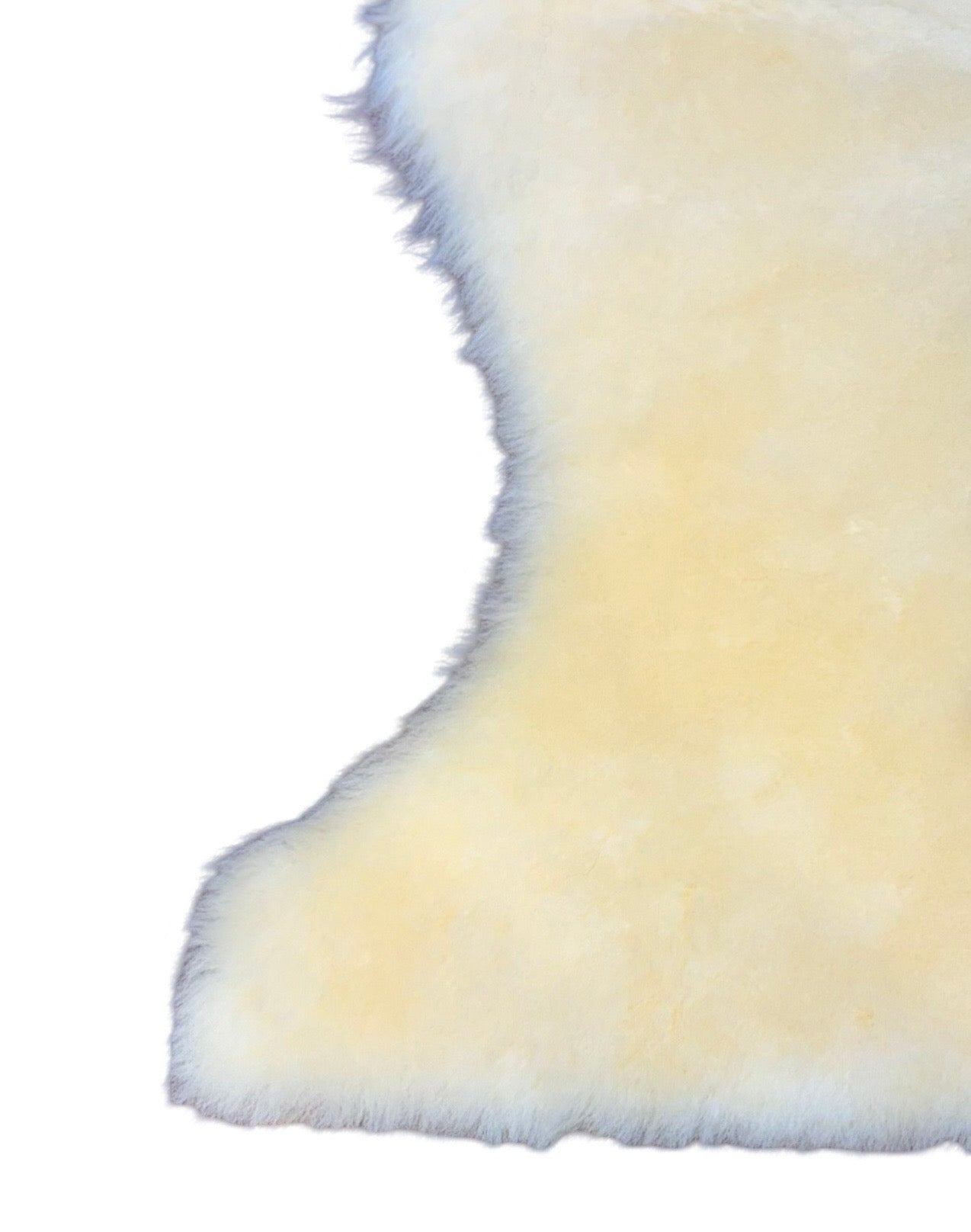 Short Wool Sheepskin's - Multiple Colours