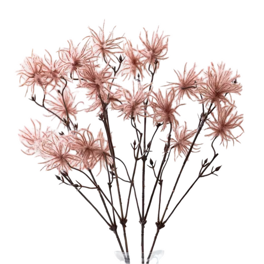 “Geum” – prairie pink