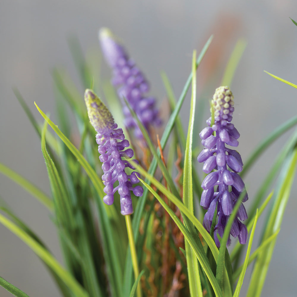 Faux Muscari in Pot