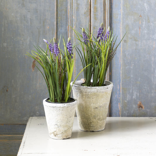 Faux Muscari in Pot