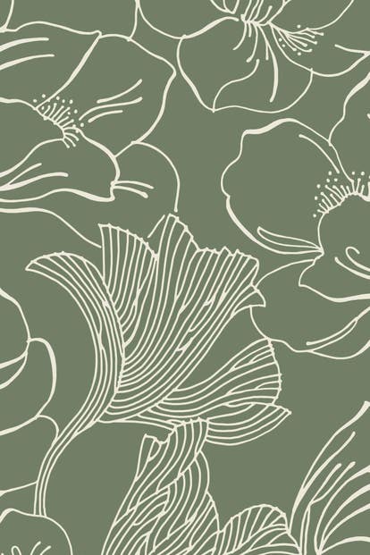 Helleborus