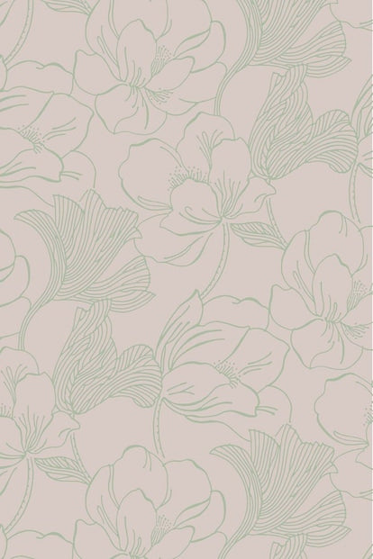 Helleborus
