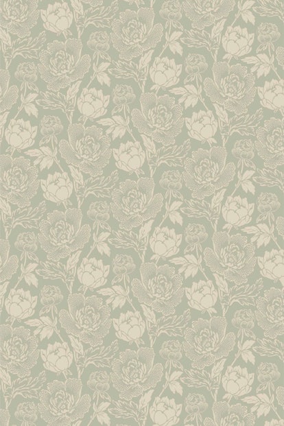 Peony