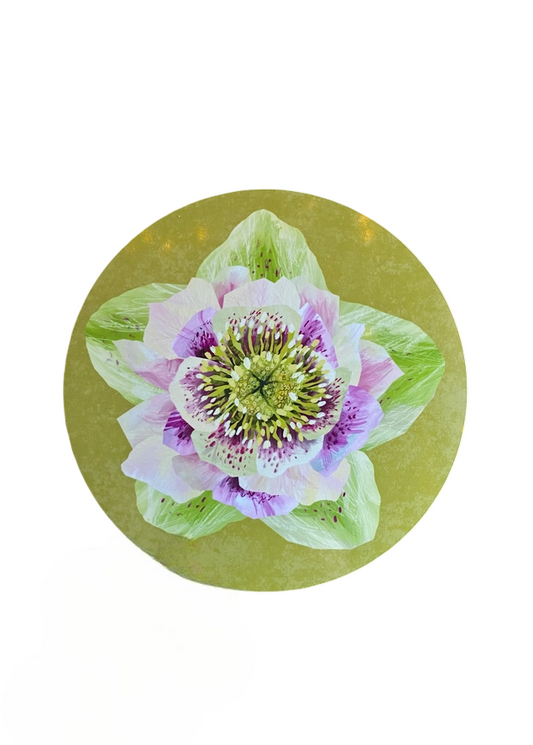 “Hellebore Adore” Design Placemat