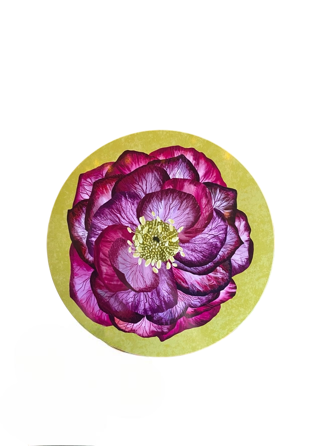 “Hellebore Adore” Design Placemat
