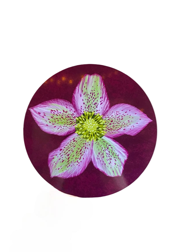 “Hellebore Adore” Design Placemat