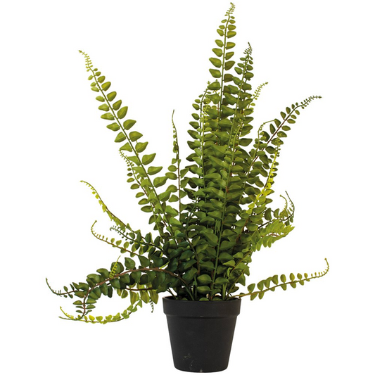 Faux Potted Fern