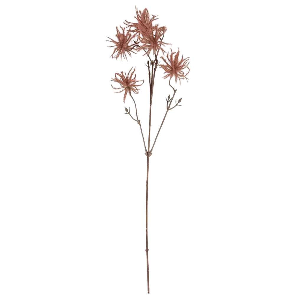 “Geum” – prairie pink