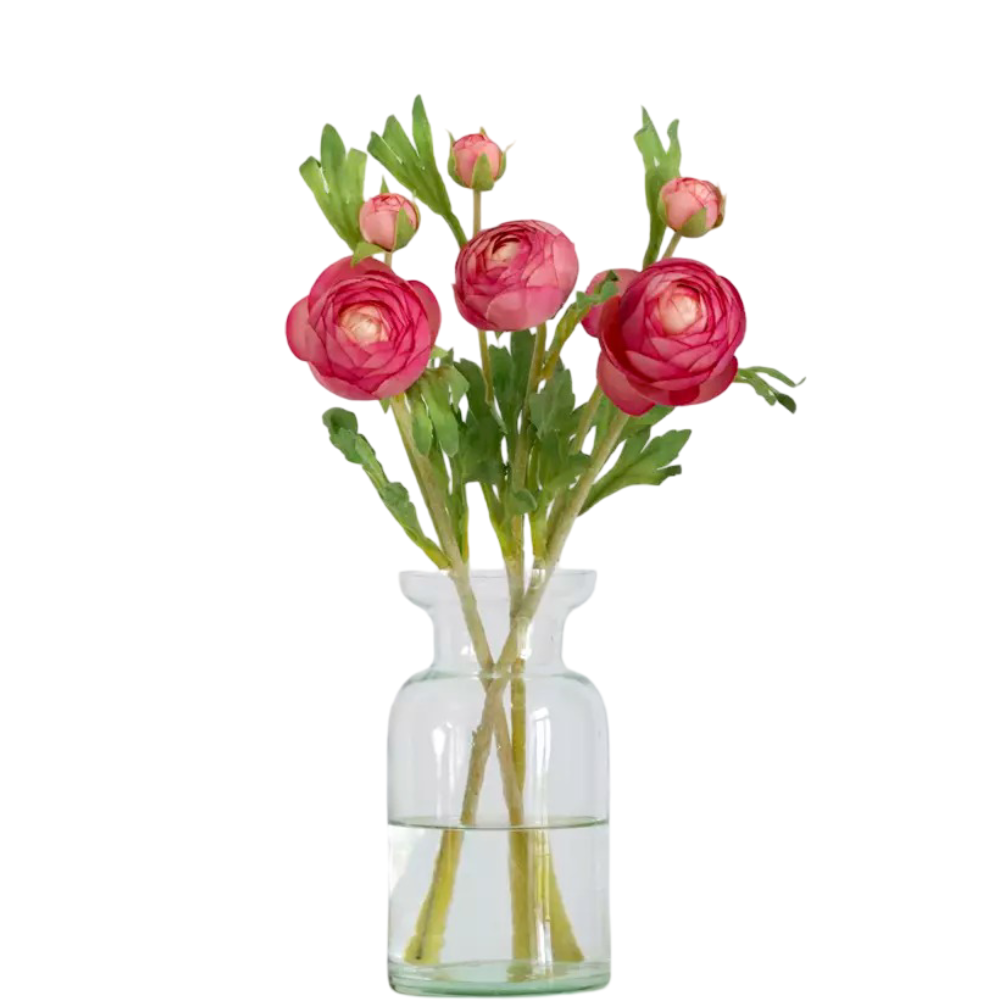 “Rununculus” – fresh pink