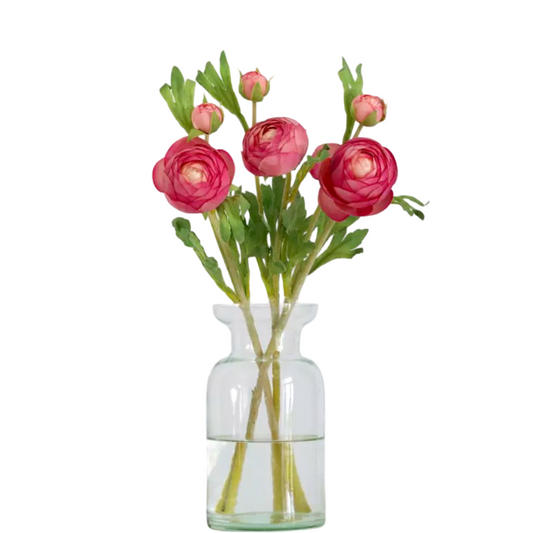 “Rununculus” – fresh pink