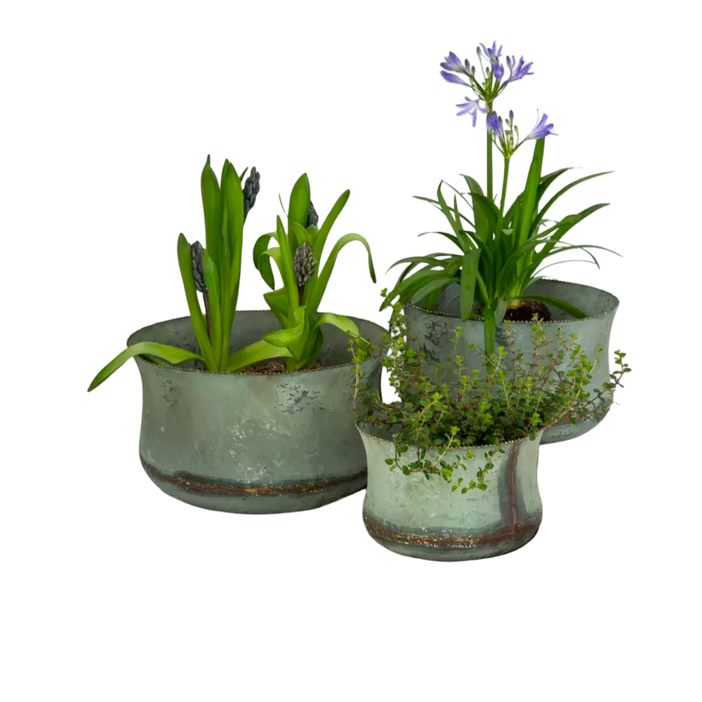 “Stody” Zinc Planter