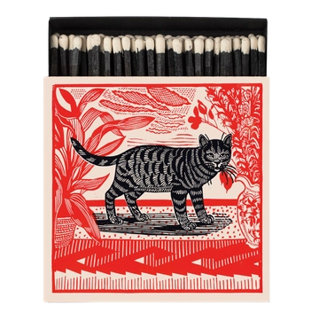 Sasha The Cat Matches