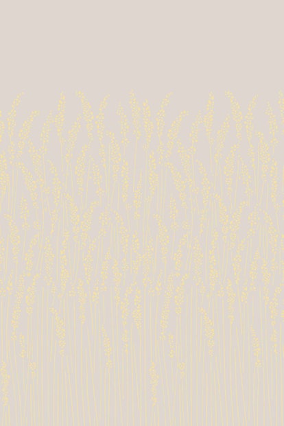 Feather Grass