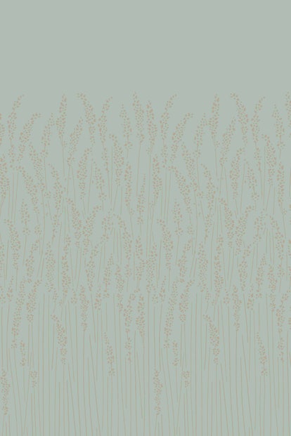 Feather Grass