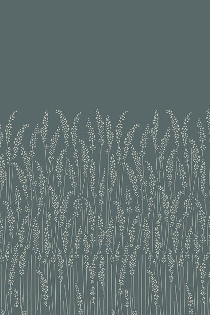 Feather Grass